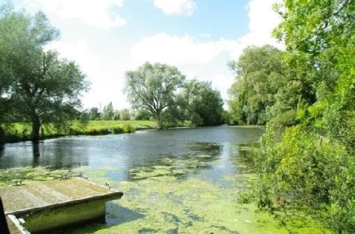 Le Cottage De L'Heron Moulle Zewnętrze zdjęcie
